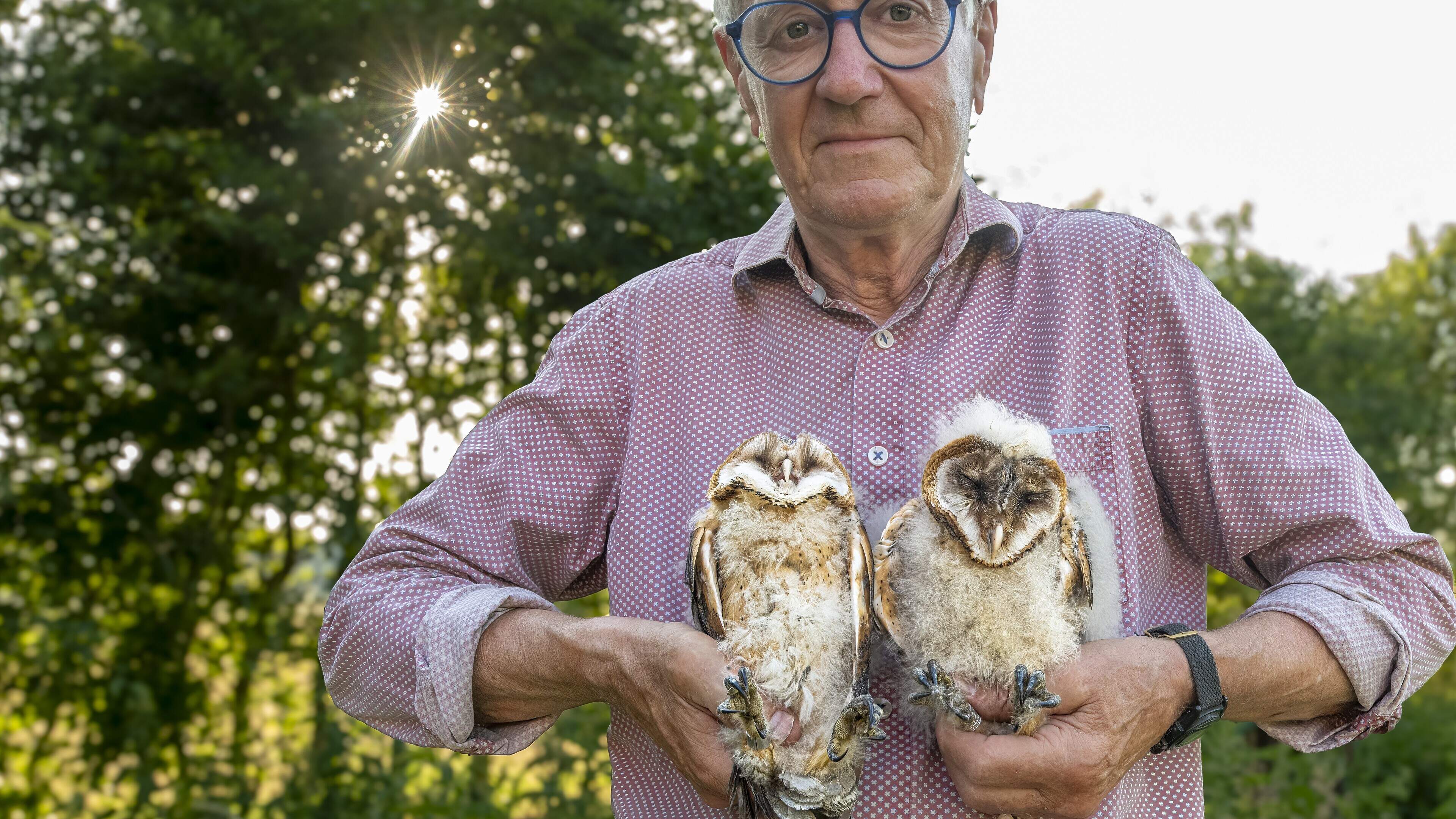 Jan (75) uit Haulerwijk zet zich in voor kerkuilen: ’Ik kan niet zonder vogels’